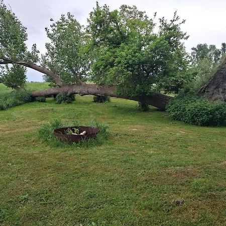 Glamping Tent 1, Cosy Campo de lujo